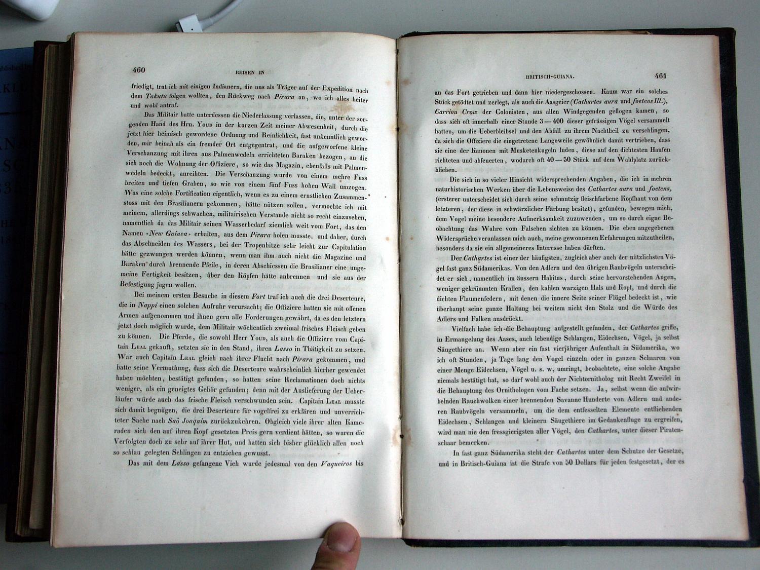 ZZ-RISC47,S.460 Cathartes